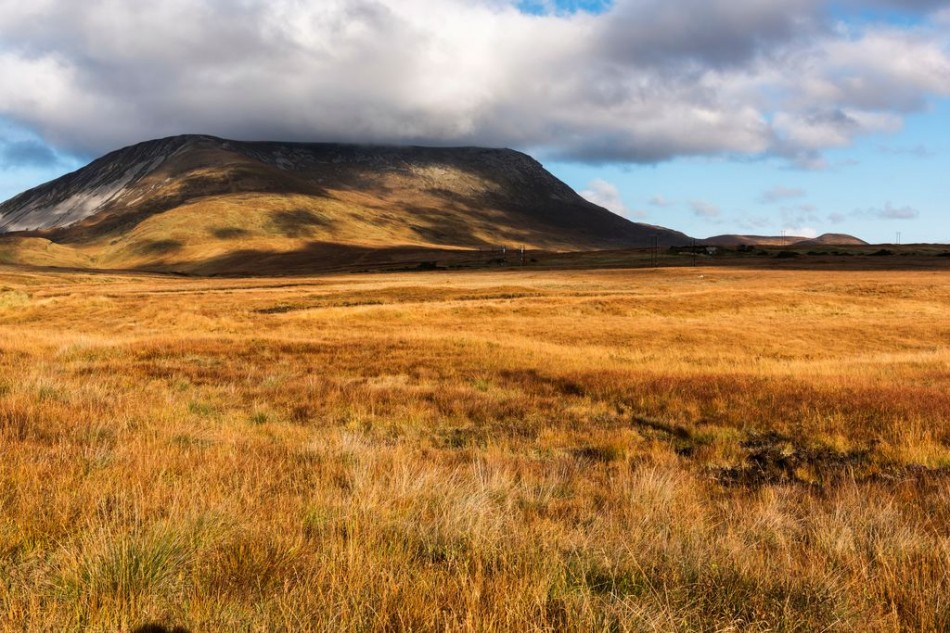 An Mhucais / Muckish is a distinctive flat-topped mountain. At 666 metres (2,185 ft), it is the third-highest peak in the Derryveagh Mountains. Near Árasáin Bhalor - 4 Star Self Catering Apartments & House, Falcarragh, County Donegal, Ireland